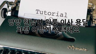 양양 현남면 원룸 이사, 용달 차량 어떻게 선택해요?
